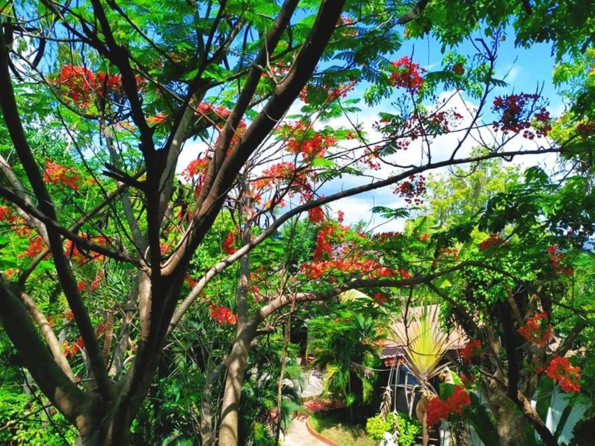 פראה Denchai City Resort เด่นชัยซิตี้ รีสอร์ท מראה חיצוני תמונה
